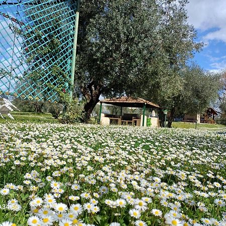 Agriturismo Bio Pian Dei Casali Saturnia Exterior foto