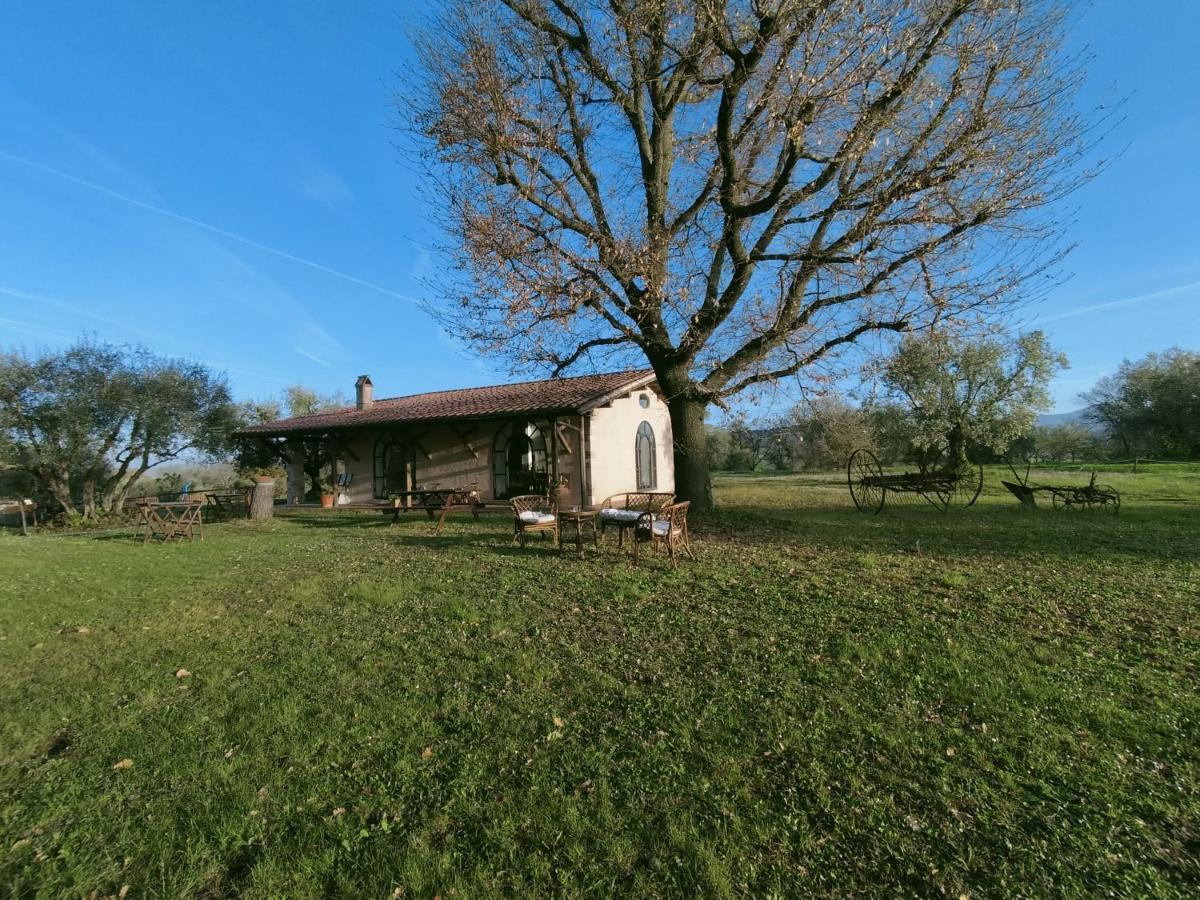 Agriturismo Bio Pian Dei Casali Saturnia Exterior foto