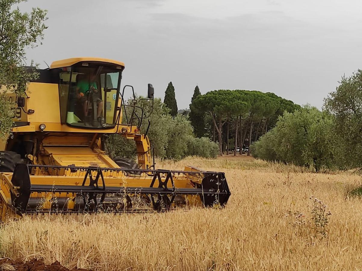 Agriturismo Bio Pian Dei Casali Saturnia Exterior foto