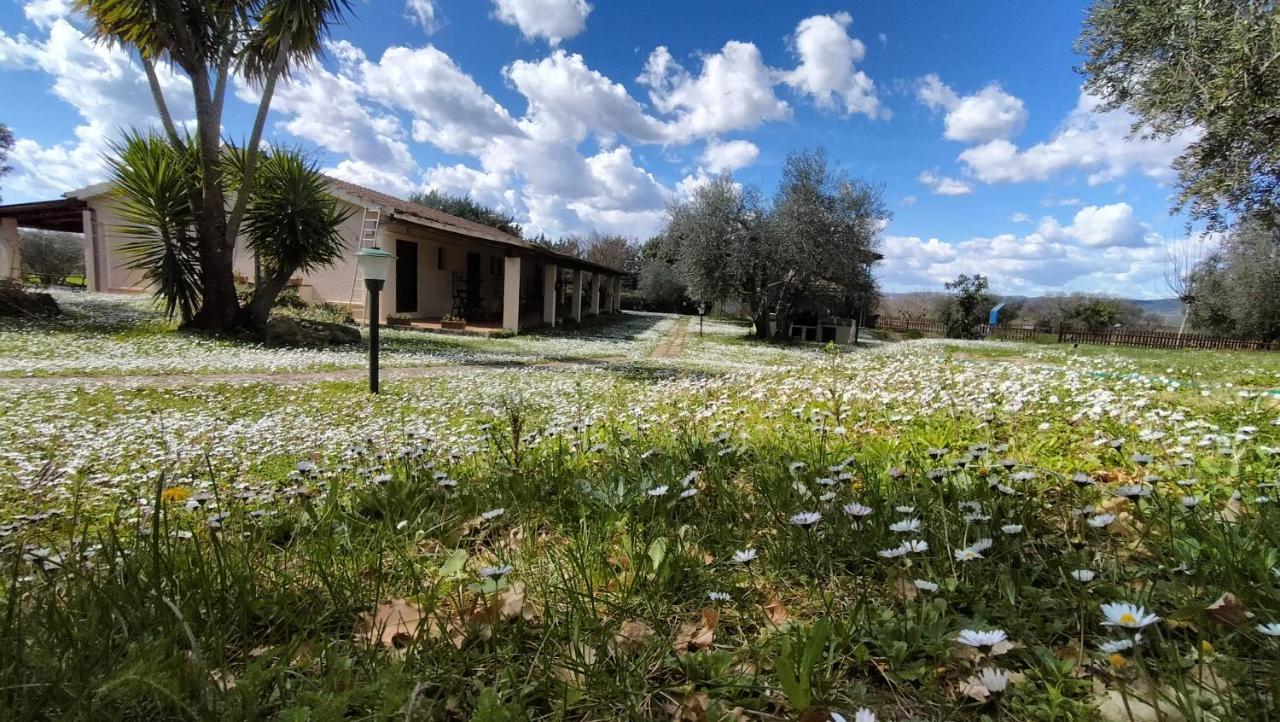 Agriturismo Bio Pian Dei Casali Saturnia Exterior foto