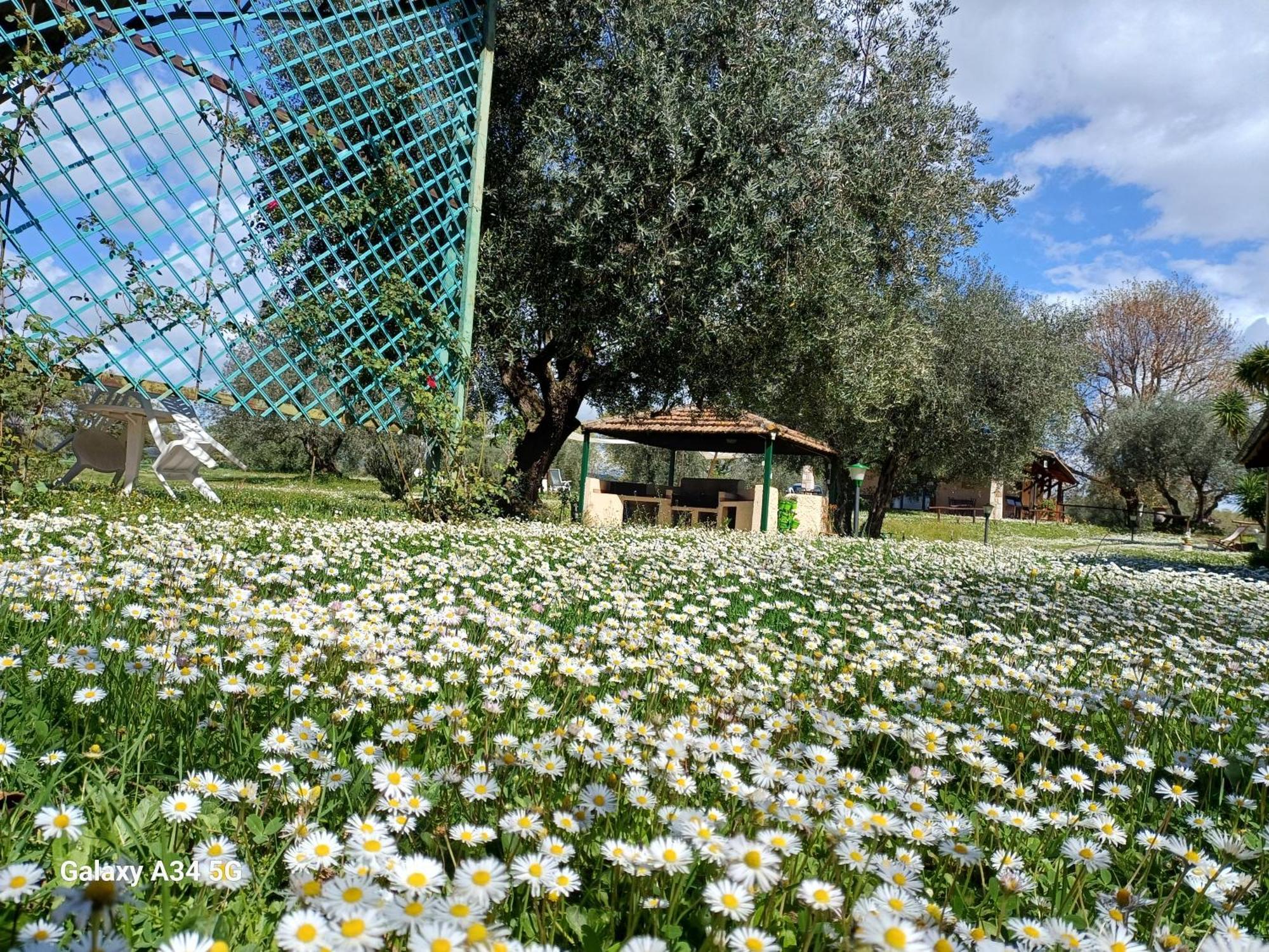 Agriturismo Bio Pian Dei Casali Saturnia Exterior foto