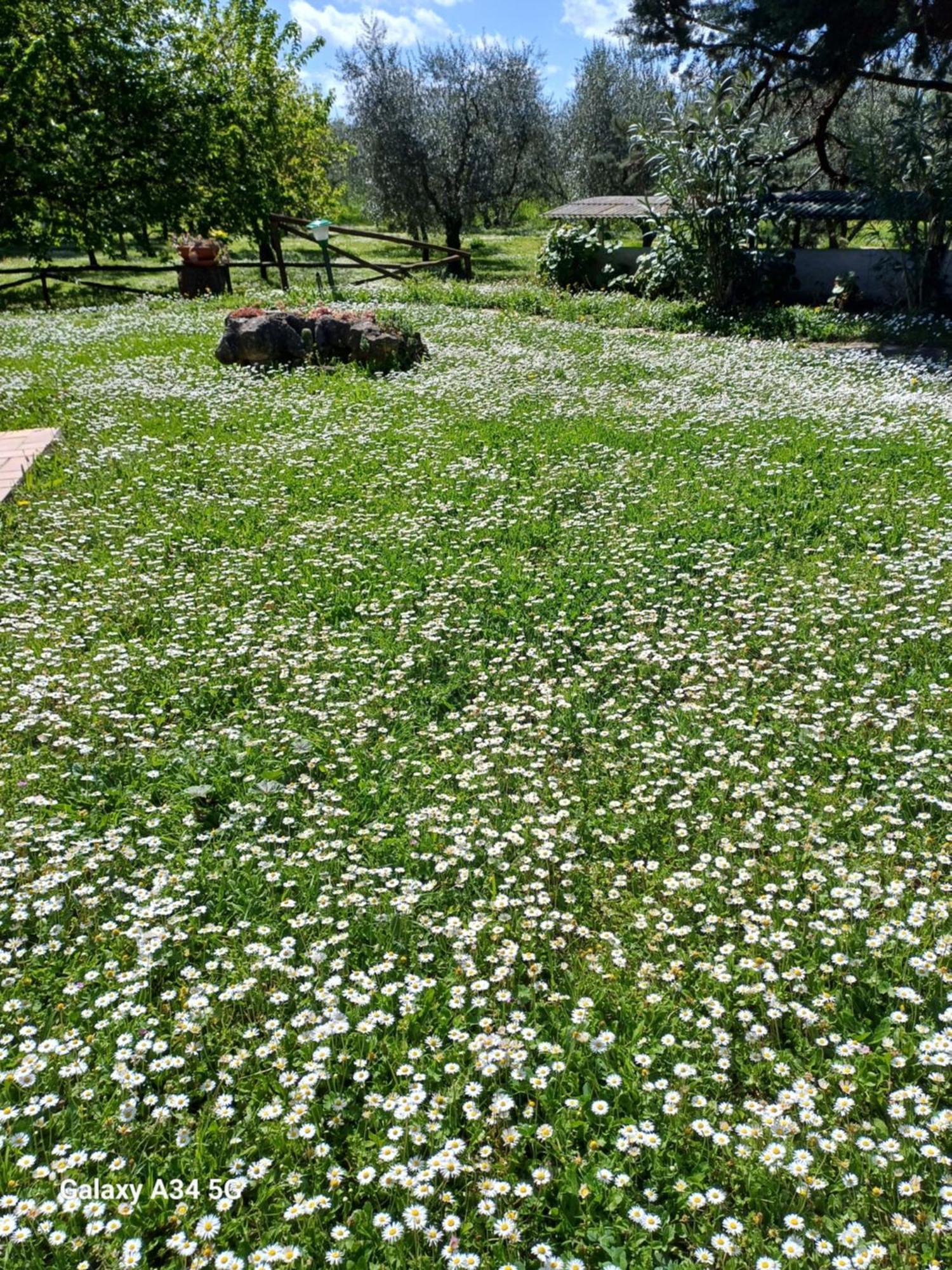 Agriturismo Bio Pian Dei Casali Saturnia Exterior foto