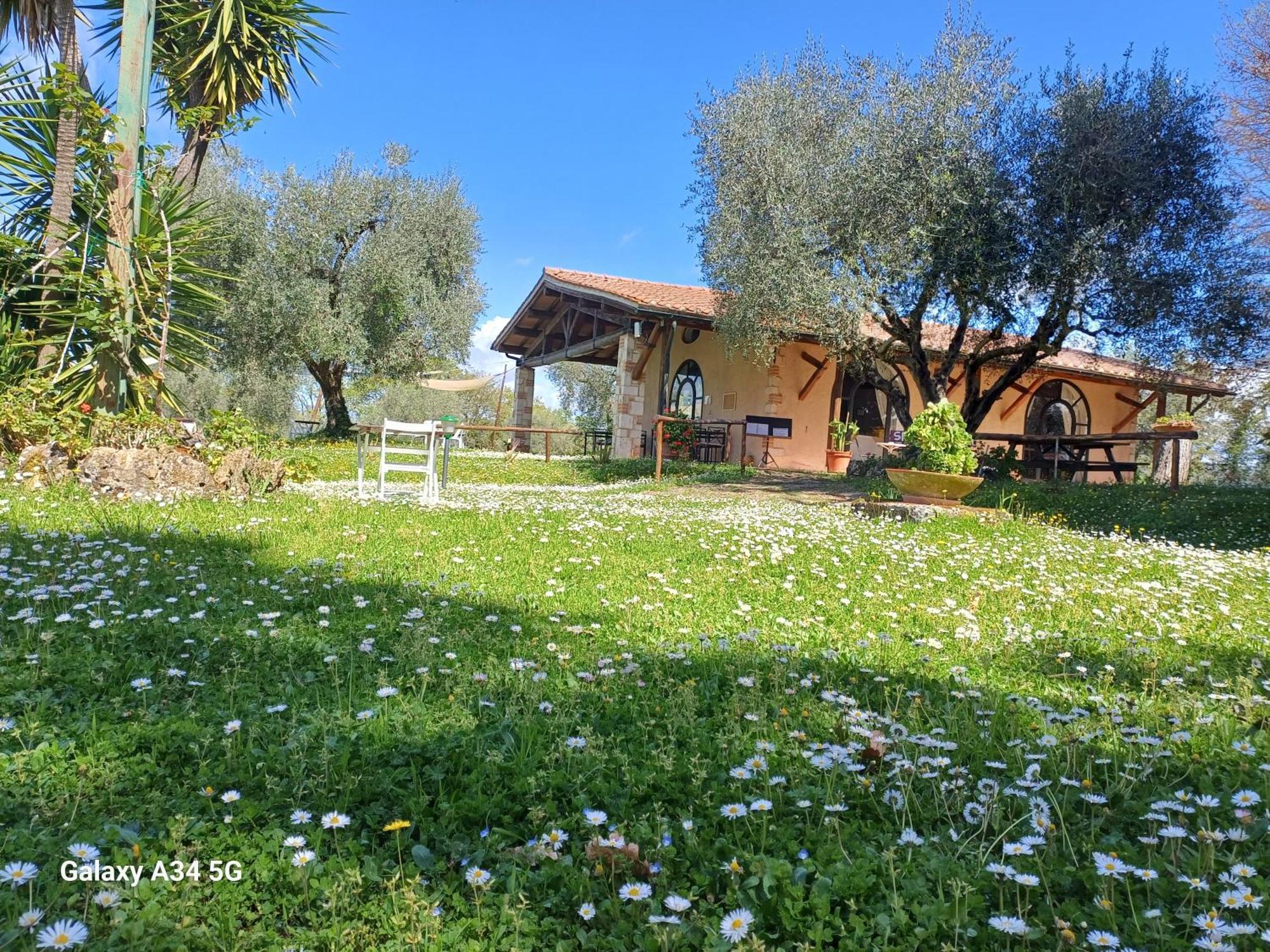 Agriturismo Bio Pian Dei Casali Saturnia Exterior foto