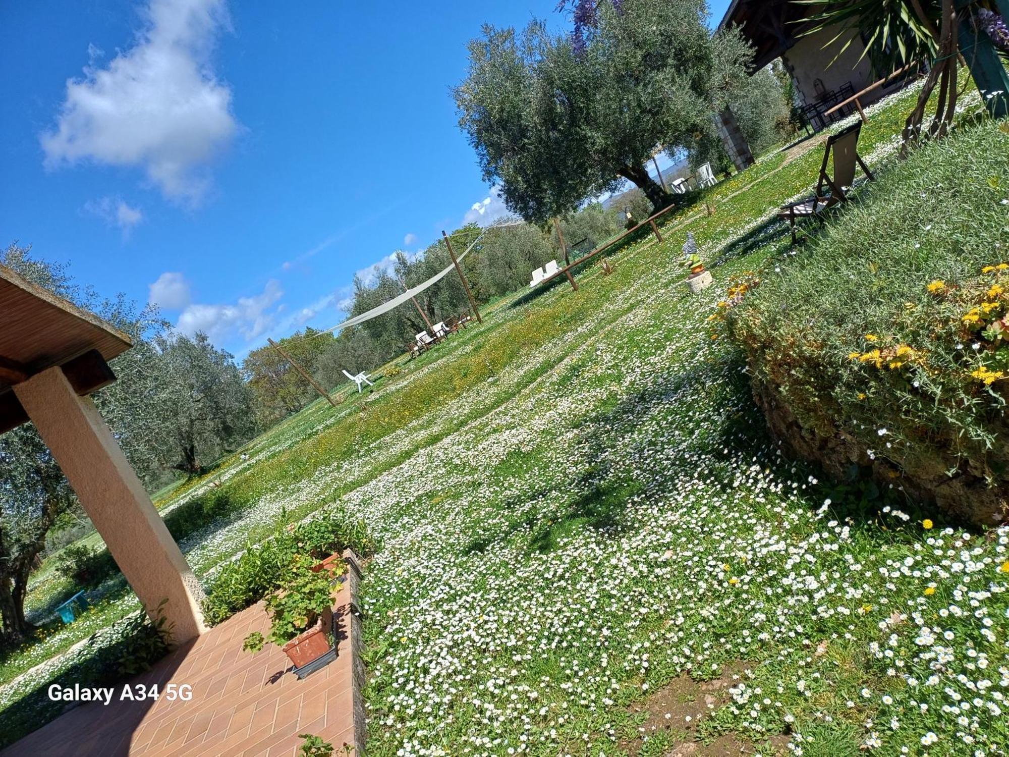 Agriturismo Bio Pian Dei Casali Saturnia Exterior foto