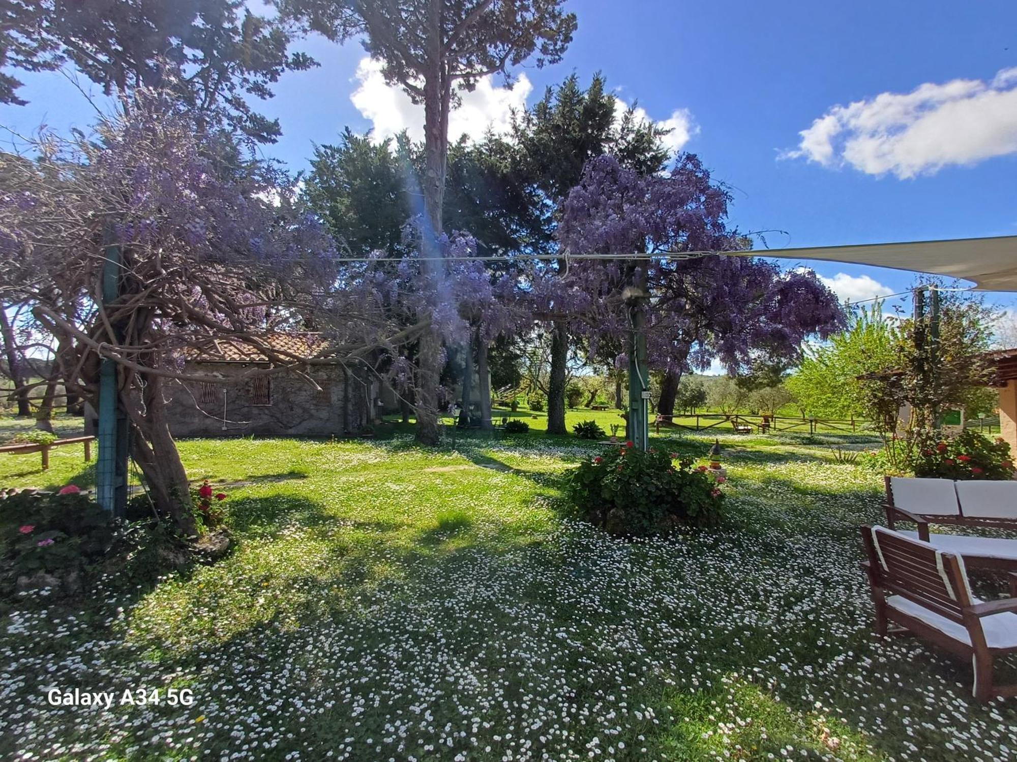 Agriturismo Bio Pian Dei Casali Saturnia Exterior foto