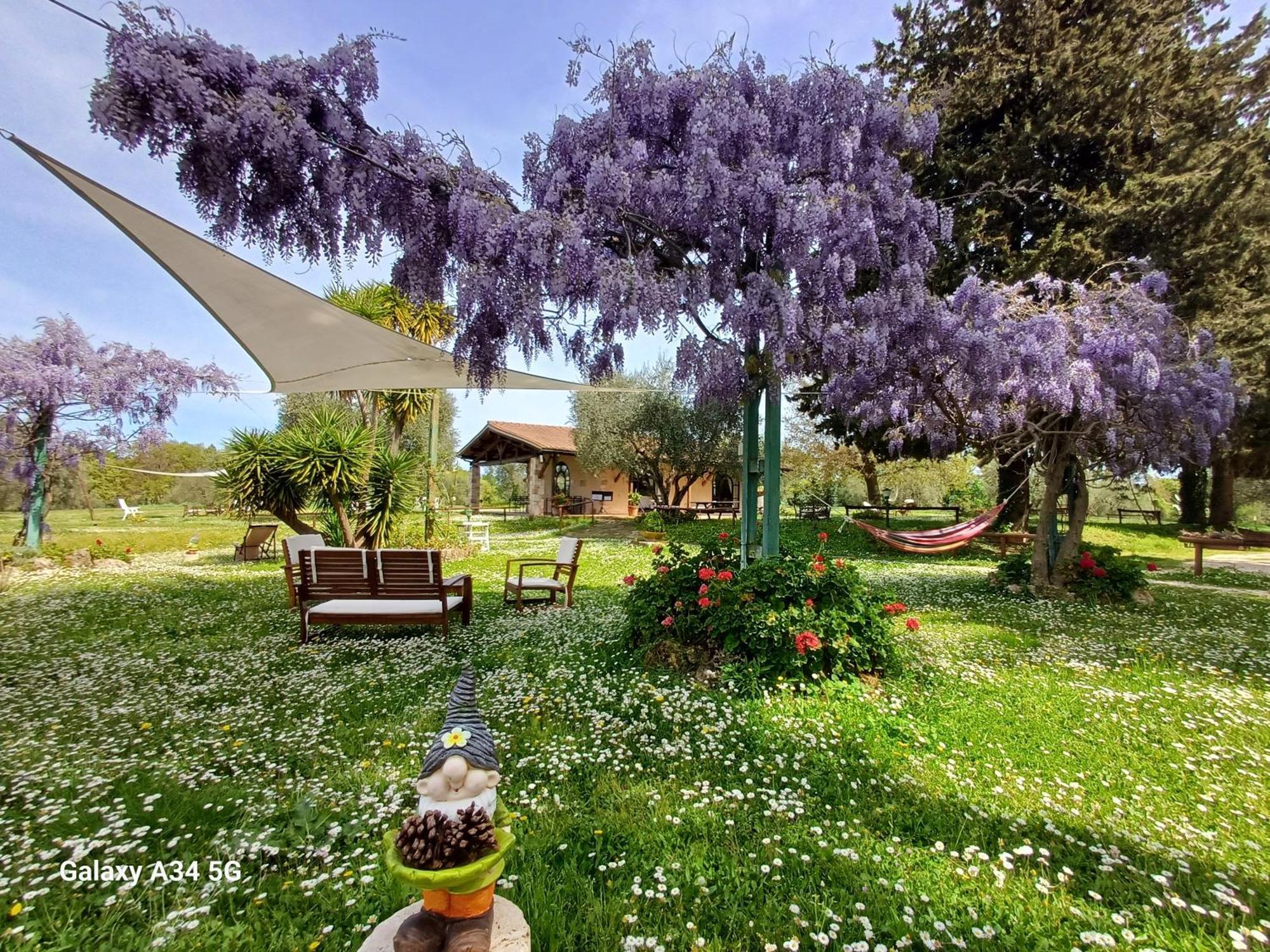 Agriturismo Bio Pian Dei Casali Saturnia Exterior foto